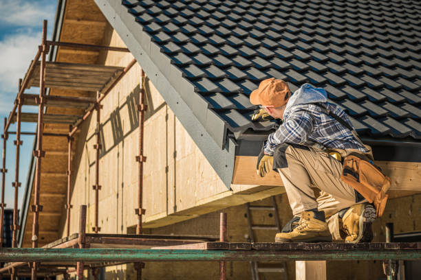 Best Roof Maintenance and Cleaning  in Mmaduke, AR